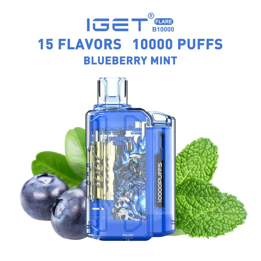 IGET FLARE B10000 Blueberry Mint (10000 Puffs)